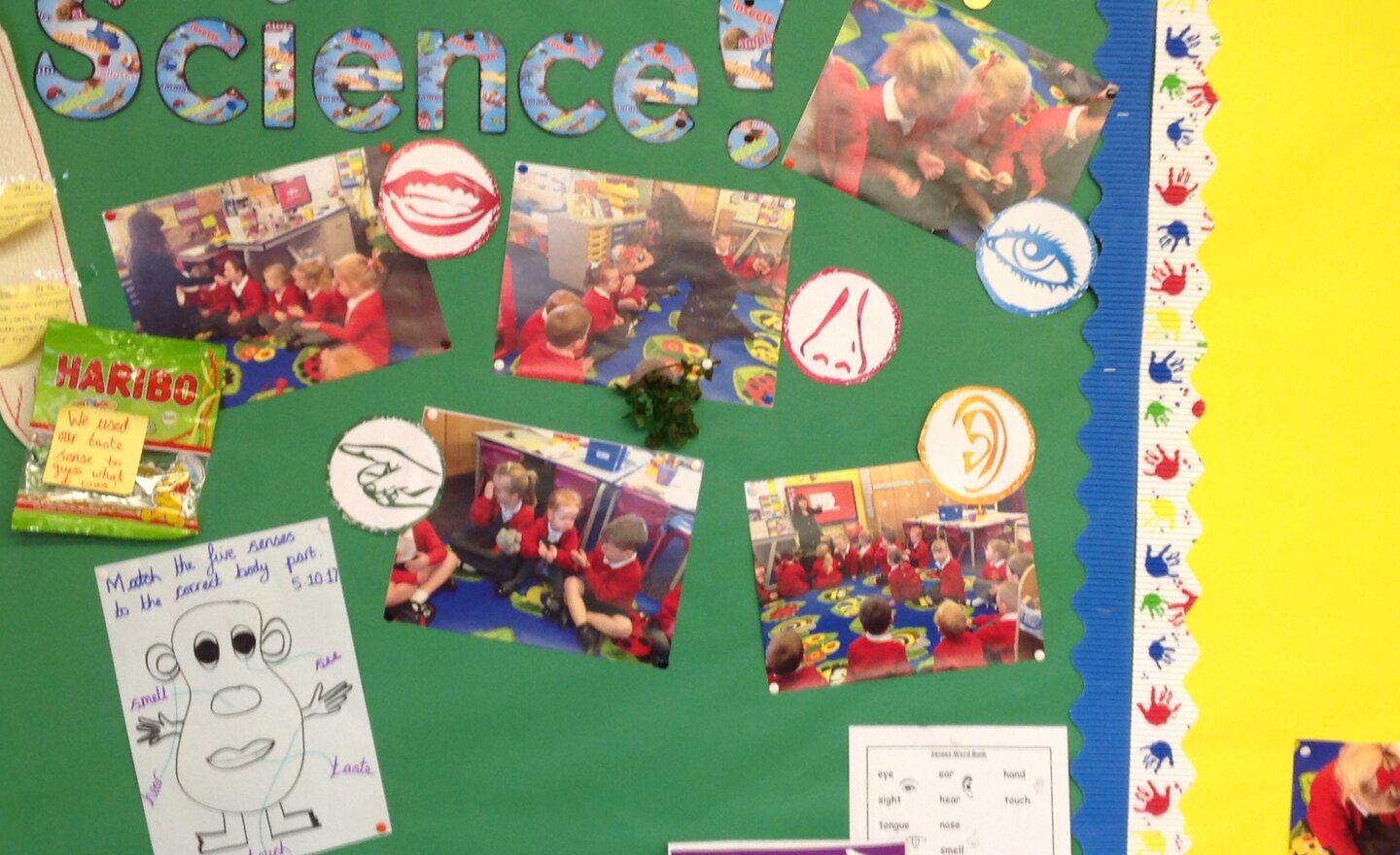 Image of Using our senses!
